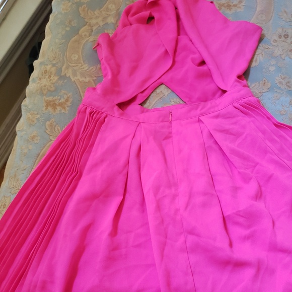 Shocking Pink Pleeted Dress - Picture 5 of 5